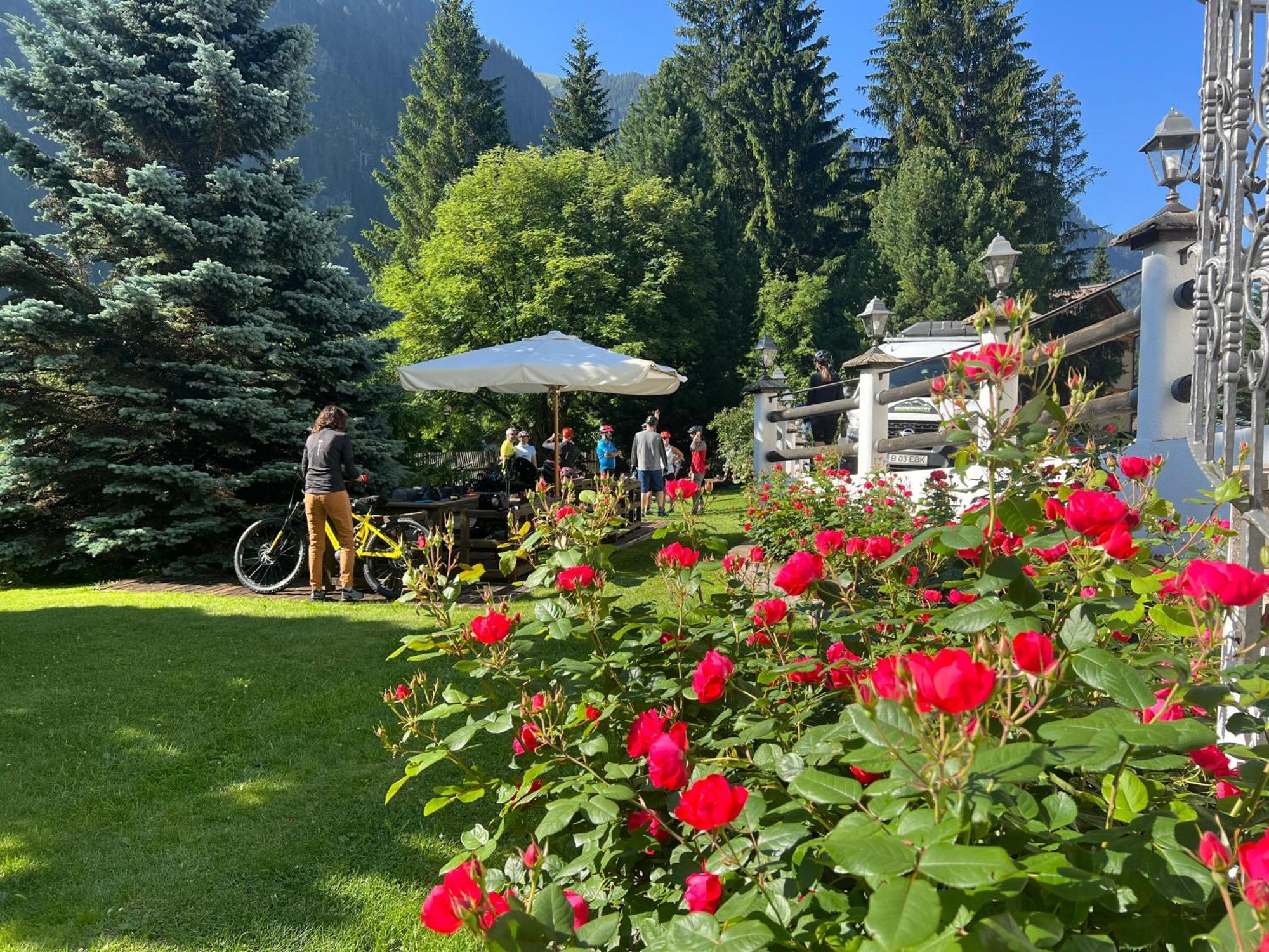 B&B Garni Villa Campitello Campitello di Fassa Eksteriør bilde